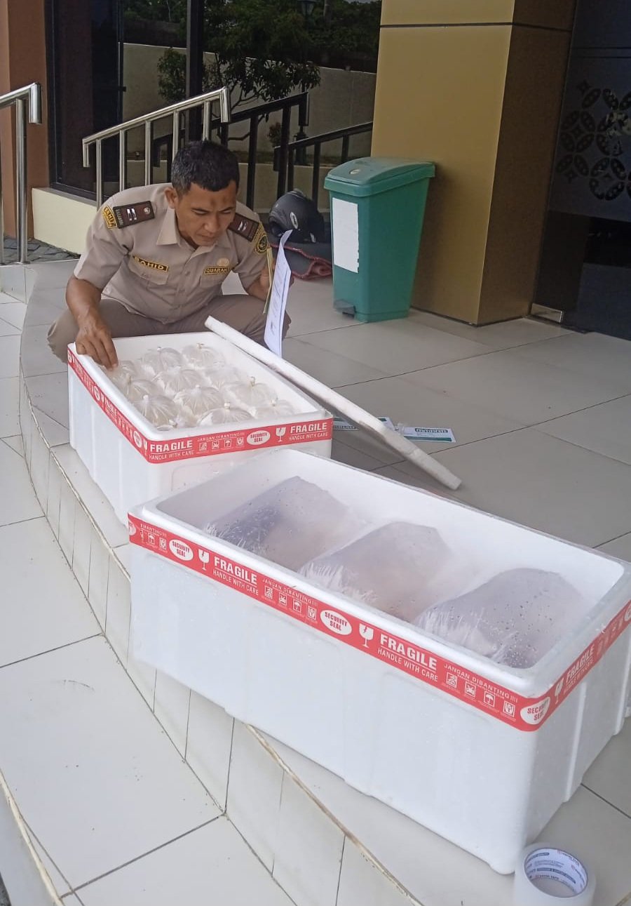 Pengiriman ke Banjarmasin